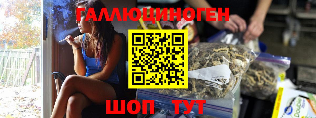 Псилоцибиновые грибы Psilocybe Кызыл